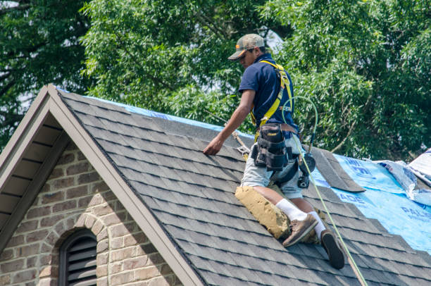 Best Storm Damage Roof Repair  in Cherokee, IA